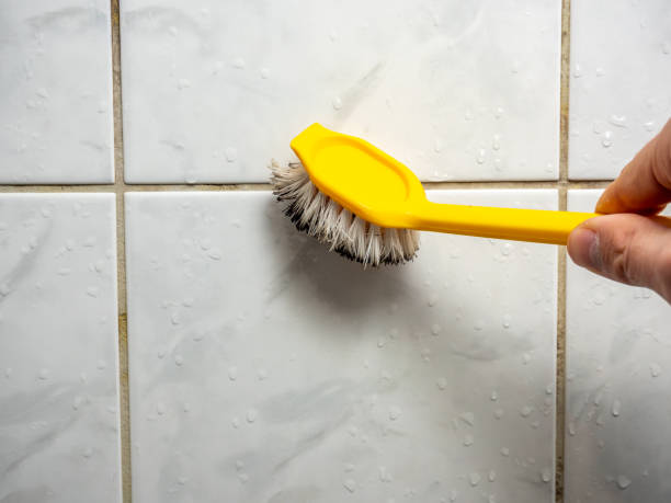 Best Mold Damage Repair  in Richfield, UT