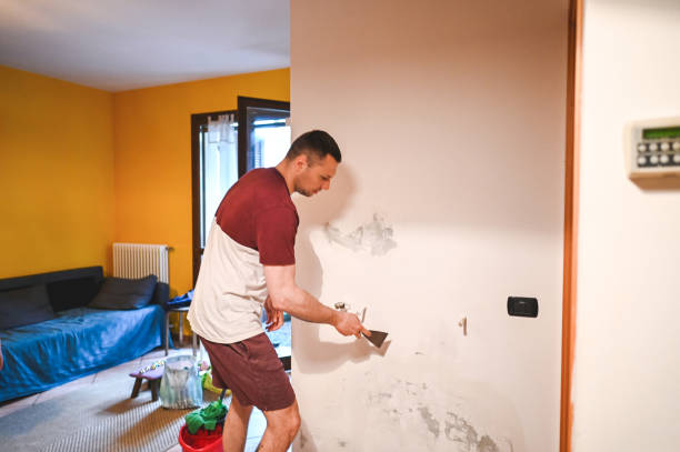 Best Best Mold Removal Companies  in Richfield, UT