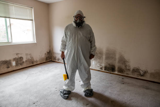 Best Mold Testing  in Richfield, UT